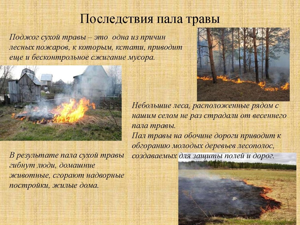 Против пала