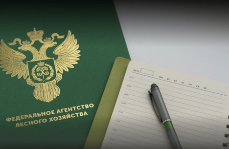Рослесхоз отменил 2 региональных правовых акта с нарушениями лесного законодательства