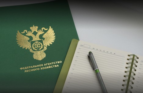 Рослесхозом за полгода отменено 49 правовых актов с нарушениями лесного законодательства Рослесхозом за полгода отменено 49 правовых актов с нарушениями лесного законодательства