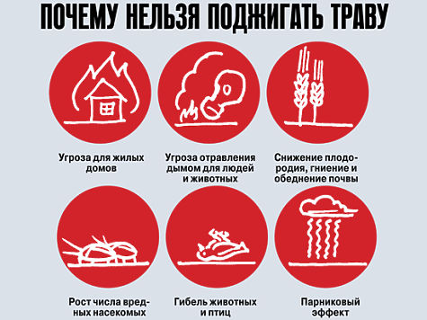Против пала
