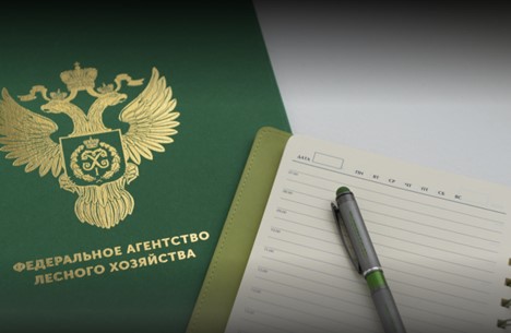 Рослесхоз: лесопользователи могут подавать отчеты об использовании лесов по факту заготовки древесины
