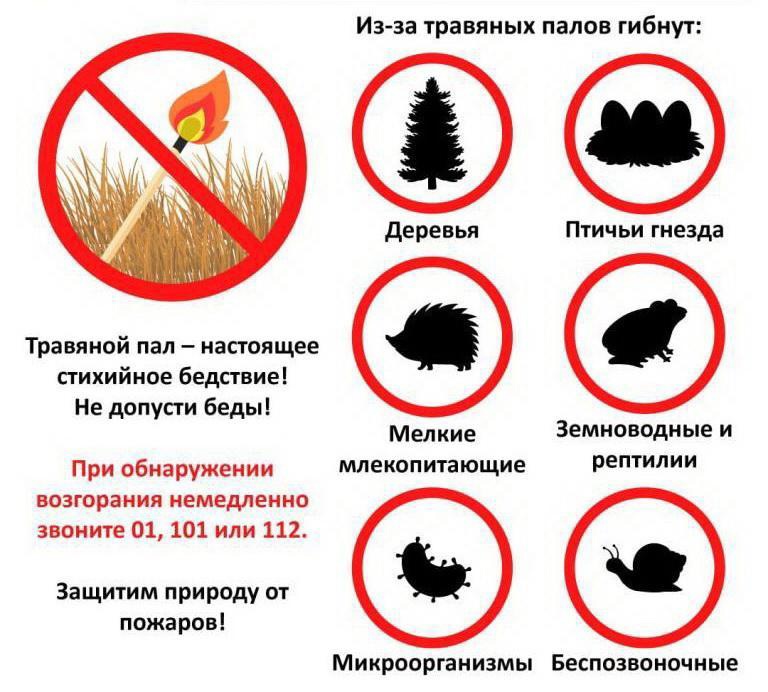 Против пала