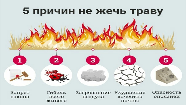 Против пала