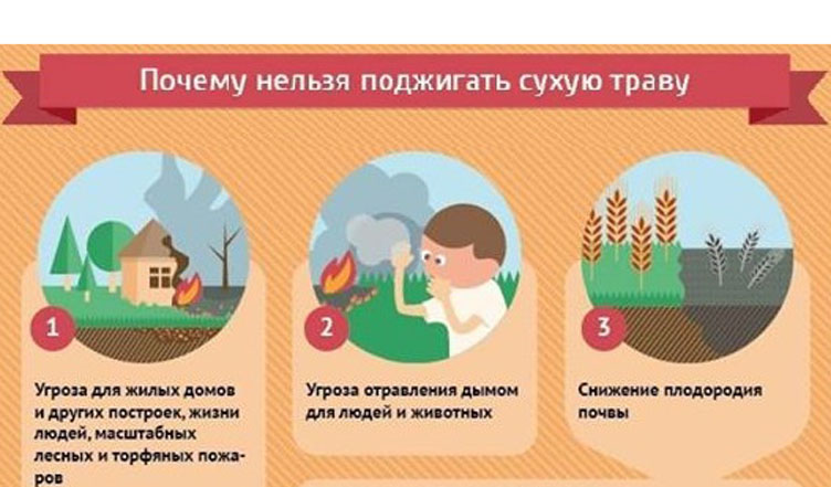 Против пала