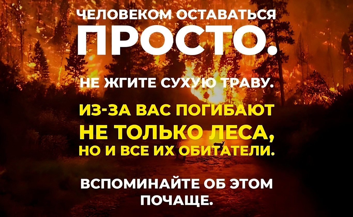 Против пала