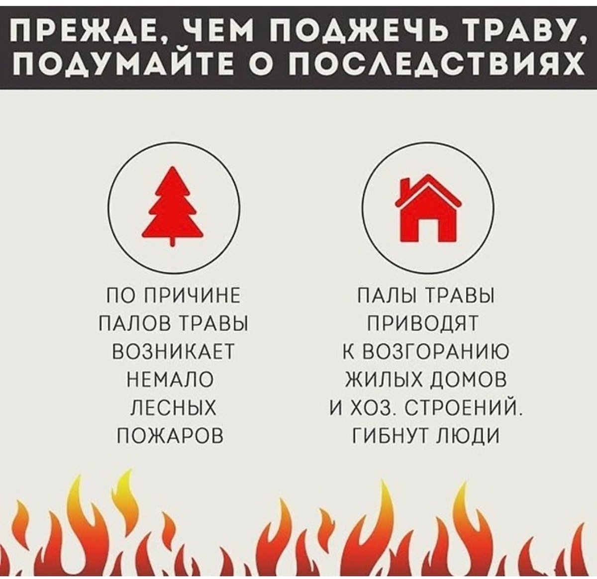 Против пала